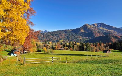 Der Duft von Spätsommer